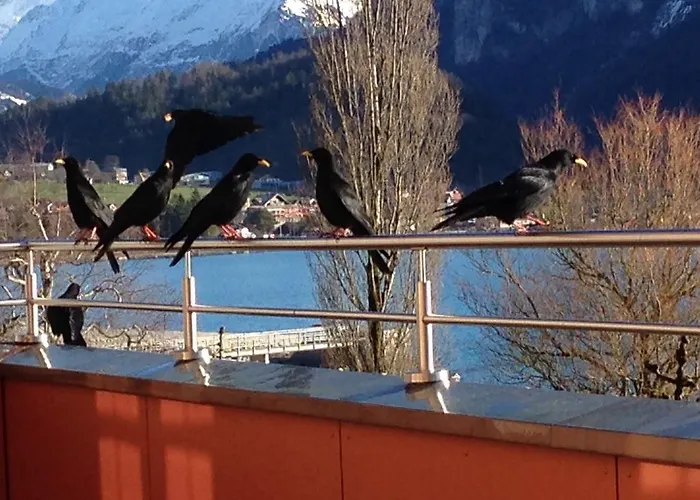 Ξενοδοχείο Tea Restaurant Walz Brienz (Bern)