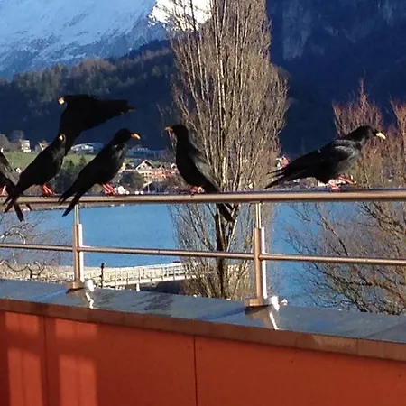 Hotell Tea Restaurant Walz Brienz (Bern)